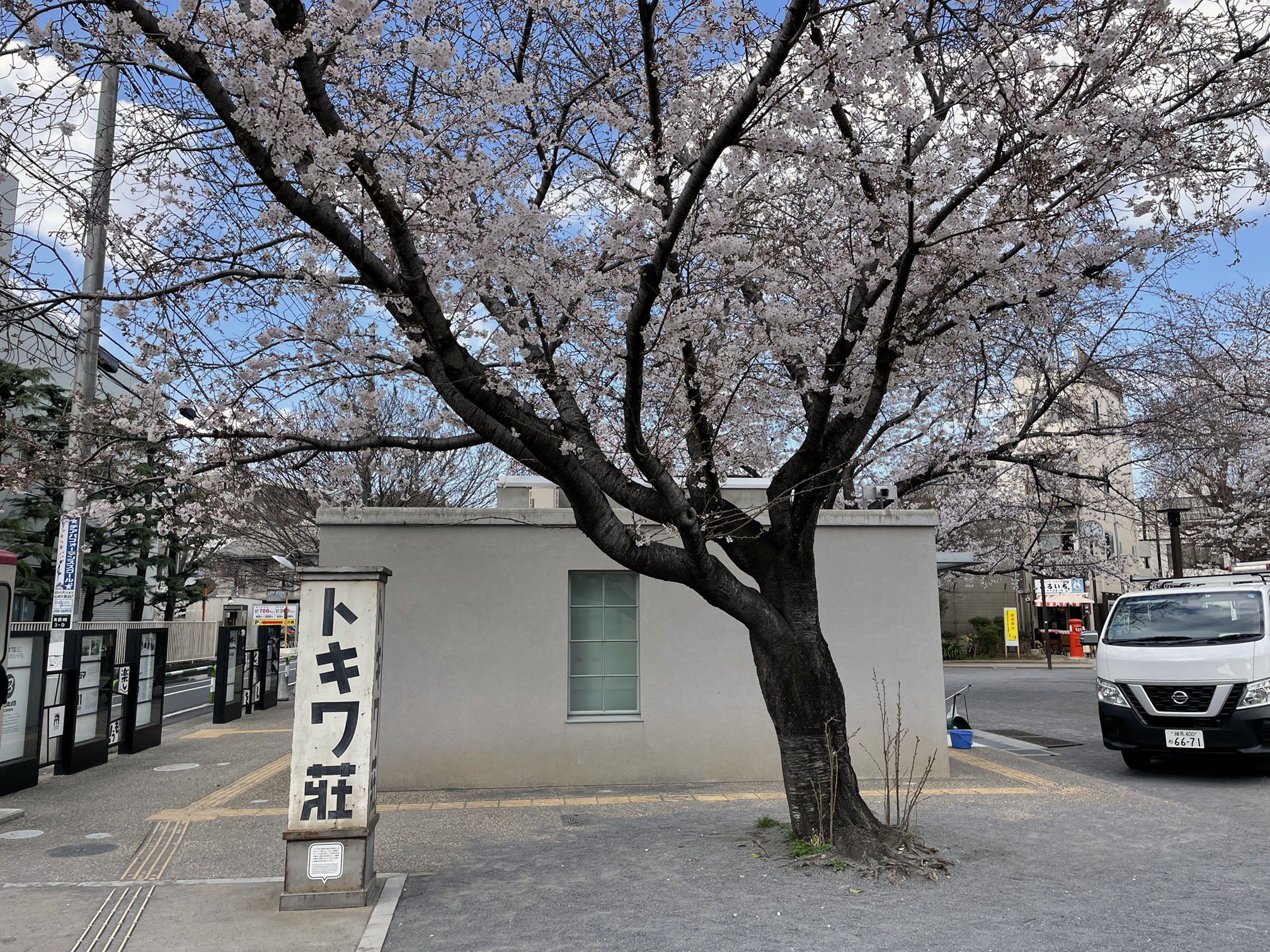 トキワ荘マンガミュージアムの庭の桜